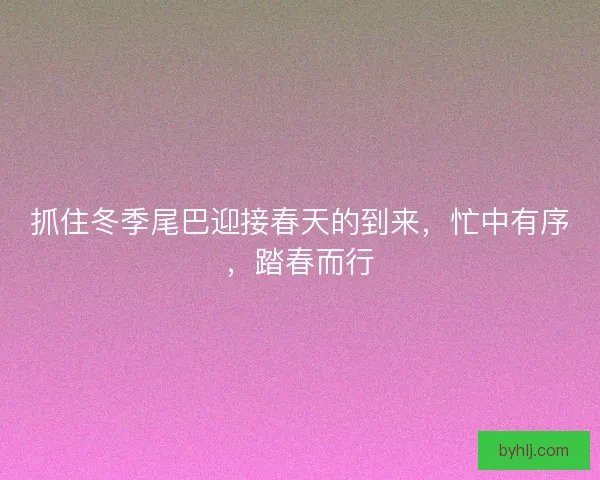抓住冬季尾巴迎接春天的到来，忙中有序，踏春而行
